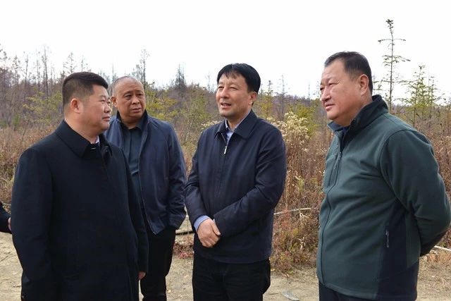 2026世界杯竞猜